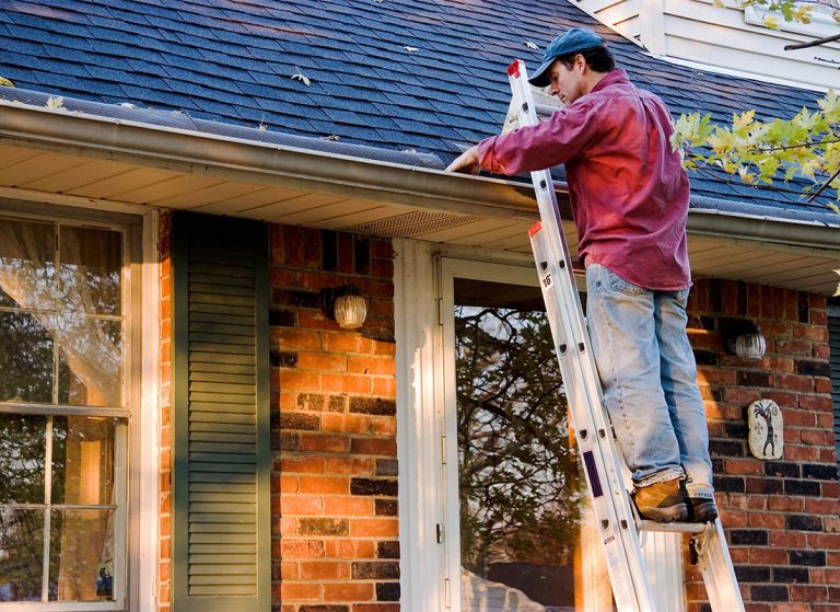 Gutter Cleaning